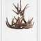 Jonathan Y Nelle 18" Adjustable Resin Antler 3-Light LED Chandelier, Brown JYL6304A - alternate 12