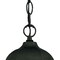 Homeroots Matte Black Glass Lantern Hanging Light 398002 - alternate 4