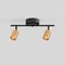 Vidalite Shura Black & Brass 2-Light Track Light with Rotatable Heads, Integrated LED, 3000k, 1120 Lmn CE1008570 - alternate 5