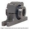 Edt PILLOW BLOCK BEARING NA1AC-T7T-16-T - alternate 3