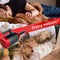 Simple Deluxe Portable Space Heater, Indoor Bed Heater Blanket Heater, 3 Second Fast Heating 1200W, Heater for Be HIBLOWERHEAT1200WGR - alternate 5