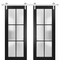 Sartodoors Sturdy Double Barn Door with Frosted Glass Planum 2122 Black 64x80 (2* 32x80) Solid Core PLANUM2122DB-S-BLK-64 x 80 (2* 32x80) - alternate 1