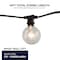 Bulbrite 14 ft, 10-Socket Decorative String Light Kit with Clear Incandescent Globe (G16) Bulbs, 14 ft, Black 810054 - alternate 4