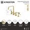 Kingston Brass Bridge Kitchen Faucet with Brass Sprayer, Polished Brass KS8252CTLBS - alternate 6