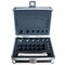 Adam Equipment OIML Weight Sets-Capacity: 1g-100g F1 1g - 100g - alternate 2