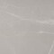 Apollo Tile Regalia 24x48 in. Ash Gray Matte Porcelain Marble-look Vein Large Tile (15.5 sq ft/case) 2PK APLVEL88CEN2448 - alternate 7