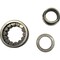 Cnh BEARING, CNH OEM P2039834 P2039834 - alternate 5