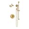 Symmons Braston HydroMersion Single Handle Shower Faucet Trim Kit with Hand Spray (Valve not Included) S5898BBZ15TRM - alternate 1