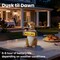 Techko Barkley the Greeting Puppy Solar Outdoor Garden Statue with Integrated LED Light, 8PK SG-822-8PK - alternate 8