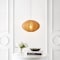 Jonathan Y Kira 18.38" 1-Light Scandinavian Japandi Adjustable Lantern Metal w/Ribbed Cocoon UFO Saucer Shade L JYL4208D - alternate 8