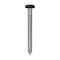 Auveco 8 x 1 1/2in Black Painted Square Drive Pan Head Tapping Screw, 100PK 25376 - alternate 1