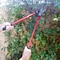 Corona Tools Bypass Lopper, 25 in., 1-1/2 in. Cut Capacity SL 3310 - alternate 3