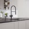 Blanco Catris Flexo Filter-Ready Semi-Pro Pull-Down Dual-Spray Kitchen Faucet - Matte Black 442992 - alternate 7
