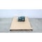Dodge Industrial QUANTIS RIGHT ANGLE WORM GEAR SPEED REDUCER 1.65HP 246.13:1 BB883CN140TER - alternate 1