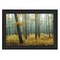 Homeroots Holterberg in the Mist Black Framed Print Wall Art 405473 - alternate 5