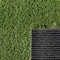 Msi Emerald Green Sample Pre Cut Artificial Grass Turf Roll ZOR-PC-TRF-0004-SAM - alternate 9