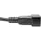 Eaton Tripp Lite Series Power Extension Cord, C19 to C20 - Heavy-Duty, 15A, 250V, 14 AWG, 6 ft. 1.83 P036-006-15A - alternate 5