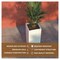 Leisuremod Basalt Tall Square Fiberstone & MgO Clay Planter, Weather-Resistant, Fully Assembled BP24W - alternate 7