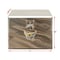 Mytee Products 18 inx18 inx36 in Steel Trailer Underbody Tool Box w/ Mirror Finish Single Door TBSS181836 - alternate 6