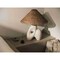 Troy Lighting Nairn 1 Light Table Lamp by Chandler McLellan, Patina Brass and Ceramic Rustic Bone, 22in x 24.5in PTL3425-PBR/CUB - alternate 3