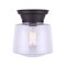 Canarm Flush Mount Light, 1 Light, 60W, 8"x9-1/4" IFM623A08ORB - alternate 3