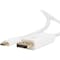Rocstor 10 FT USBC TO DISPLAYPORT CBL Y10C241-W1 - alternate 5