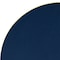 Neiko 6 in Sanding Pad with Vinyl PSA Backing, 5/16 in Arbor with 24 Thread Mounts, 10,000 RPM 30262A - alternate 3