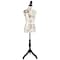Serenelife Female Torso Mannequin Display SLMAQTP88 - alternate 1