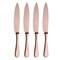 Mepra Steak Knife Set - 4 Pcs. - Ice Bronze 10002244IB - alternate 1