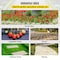 Vevor 6x300 ft Heavy Duty PP Woven Weed Barrier Landscape Ground Cover 2.4Oz 1.83*91.4-70 - alternate 7