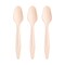 Smarty Had A Party Natural Birch Eco Friendly Disposable Dinner Spoons (600 Spoons), 600PK 4663SP-CASE - alternate 5