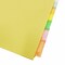 Business Source Ring Binder Indexes, 8 Tabs, Multicolor, 3-Hole Punched, PK50 BSN36693BX - alternate 2