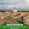 Farm Plastic Supply 2 Foot Wooden Stakes - 25 Per Bundle, Wooden Garden and Sign Posts, Silt Fence, Tomato Stakes Z-2FootStakes-4003 - alternate 6