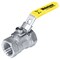 Nibco 1 1/4 Ips Sp 316 Stainless Steel 1-Pc Ball Valve H-43905 - alternate 1