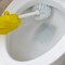 Misty Bowl And Urinal Cleaner, 1 qt, Bottle, PK12 1038799 - alternate 6