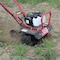 Maxim Tiller/Cultivator, Honda GX35 MTC35H - alternate 9