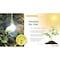 Miracle Led Low-Light Edition Root Vegetables 4-Socket Grow Light Kits, 2-Pack, 2PK 803868 - alternate 5