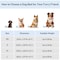 Simple Deluxe FluffyDream Calming Dog Bed, Super Soft Pet Bed with Pillow Edge, Dog Sofa Bed, Cute Bed Sofa for P PTDBEDCUD2420GRY - alternate 7