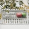 Signmission Candy Apples, 48 Inch x 120 Inch, Vinyl Banner B-120-30501 - alternate 4