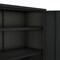 Manhattan Comfort 2-Piece Naomi Accent Cabinet and Storage Cabinet in Black 2-AF067-BK - alternate 7