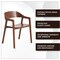 Leisuremod Rivo Collection Elegant Dining Chair in Dark Brown Wood, 2PK RC20WBR2 - alternate 8
