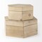 Homeroots Set of Two Natural Solid Wood Box With Lid, 2PK 392585 - alternate 1
