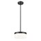 Z-Lite Renaud Matte Black 1 Light Pendant 827P9-MB-LED - alternate 6