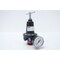 Parker PRESSURE REGULATOR 300PSI 1/4IN NPT R119-02C - alternate 4