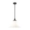 Z-Lite Fleur Matte Black 1 Light Pendant 1958P16-MB - alternate 1