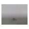 John Deere SPRING, JOHN DEERE OEM M120563  M120563 - alternate 1