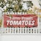 Signmission Farm Fresh Tomatoes, 24 Inch x 72 Inch, Vinyl Banner B-72-30618 - alternate 3
