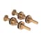 Premier 5/16 in. x 3-1/4 in. Solid Brass Closet Tank Bolt 555326 - alternate 1