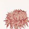 Homeroots Set Of Four Chrysanthemum Gold Framed Print Wall Art, 4PK 525810 - alternate 4