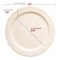 Smarty Had A Party 10" Ivory Vintage Round Disposable Plastic Dinner Plates (120 Plates), 120PK 860IV-CASE - alternate 9